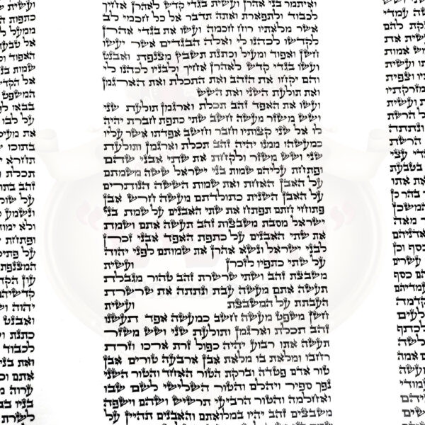 ספר תורה בית יוסף כתב אשכנזי - פריד 3